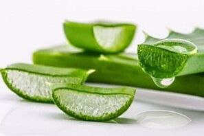 aloe za liječenje prostatitisa