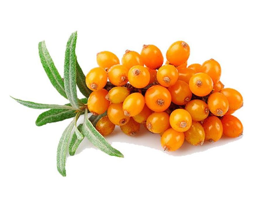 Morski buckthorn, koji normalizira rad prostate tijekom prostatitisa